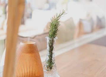 Home window with vase and plant 640